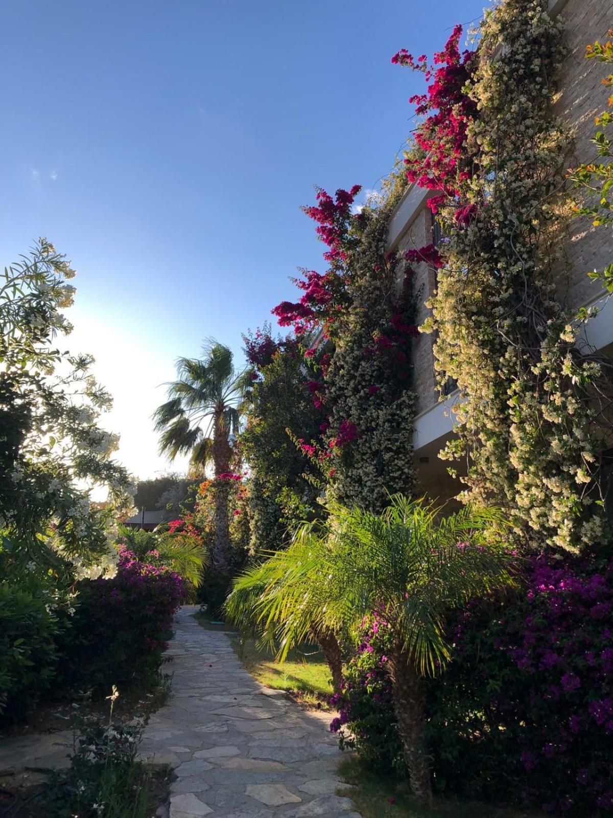 Spektr Boutique Hotel Yalıkavak Exterior foto